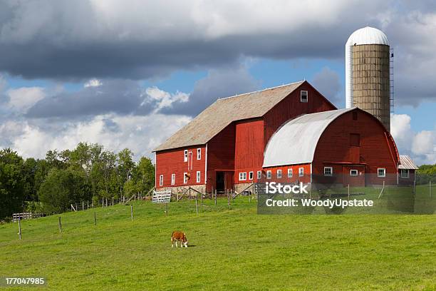 Photo libre de droit de Red Grange Été banque d'images et plus d'images libres de droit de Grange rouge - Grange rouge, Agriculture, Pâturage