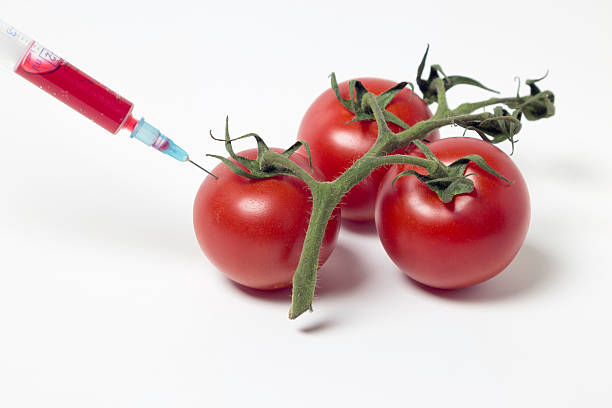 tomato color refill stock photo