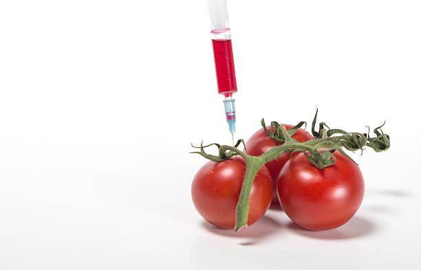 Tomato doping stock photo