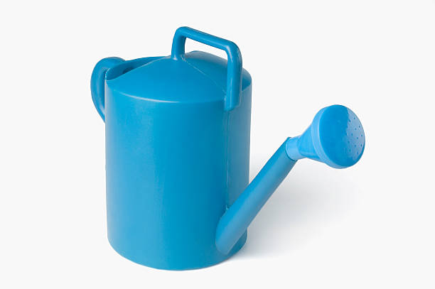 istock Close-up of a watering can 177048402