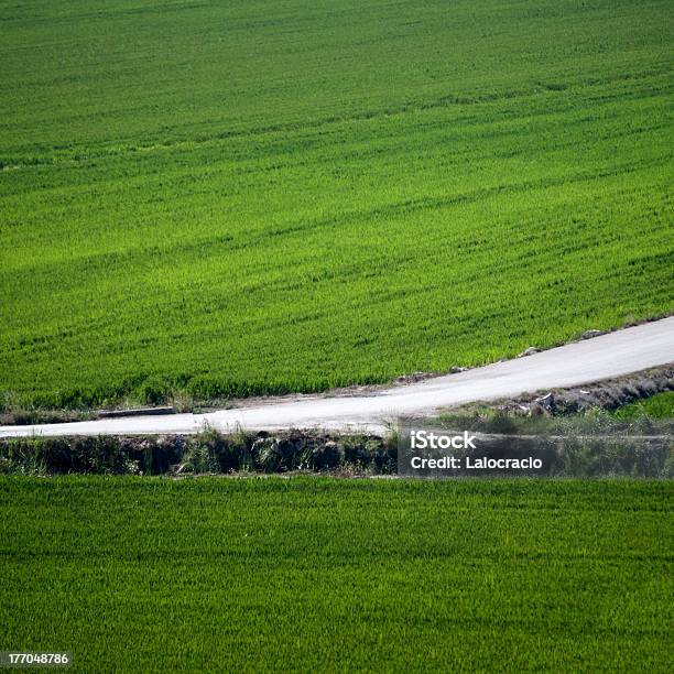 I Terreni Agricoli - Fotografie stock e altre immagini di Acerbo - Acerbo, Agricoltura, Ambientazione esterna