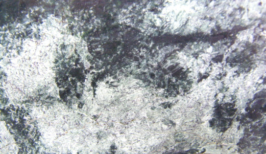 Close-up of a stone