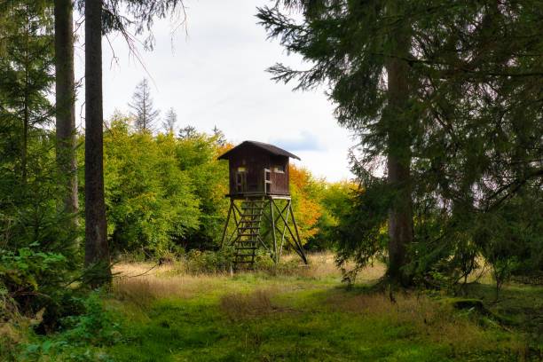 istock Autumn in the Thuringian Forest 1770490596