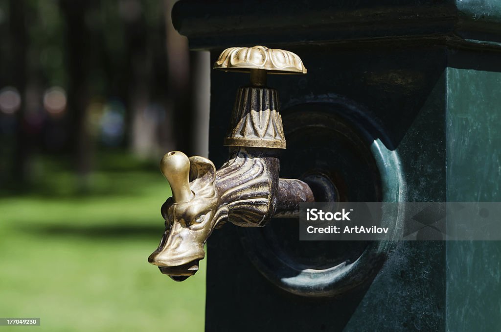 De roscar de cobre en forma de dragón - Foto de stock de Agua libre de derechos