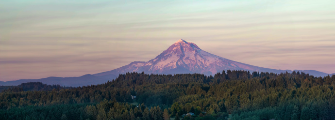 Mount Hood at Sunset Over Oregon Rural Area Landscape with Evergreen Trees Panorama