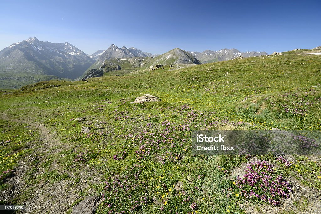 Camino a la cumbre - Foto de stock de Montaña libre de derechos