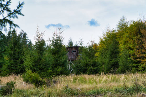 istock Autumn in the Thuringian Forest 1770494588
