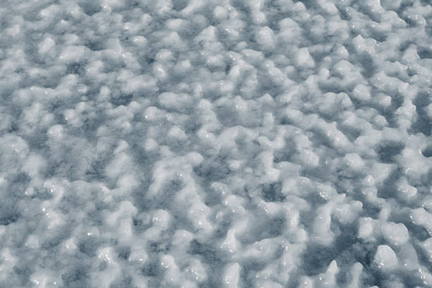 Footprints on the snow