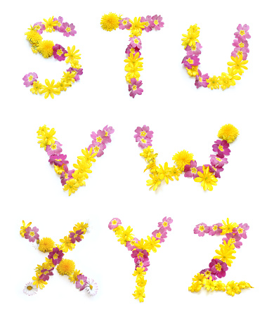 Beautiful flowers arrangement with pink and yellow real fresh blossoms, combined letters s t u v w x y z, alphabets for Mother's Day, Valentine's Day,  Marriage, wedding day, Thank you, get well soon, greetings cards, presents, birthday gifts and mails, capital letters to create a flower word