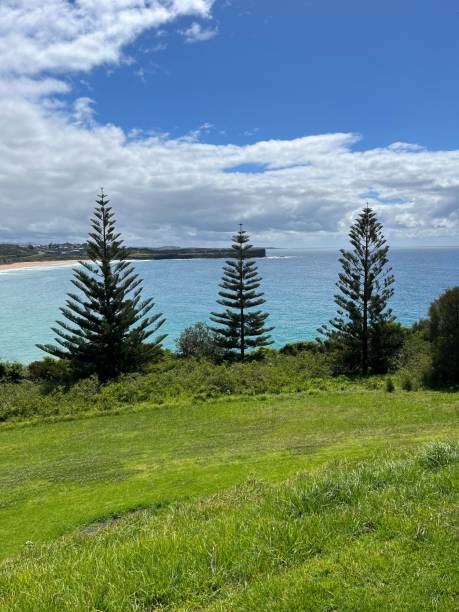 istock Scenic view of lush tree-covered hillside on the beach 1770496979
