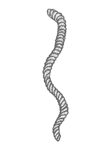 Weak Rope Thread 2d Rope Rope Thread Weave Grunge Nautical Dotwork Style Sketch Black And ...