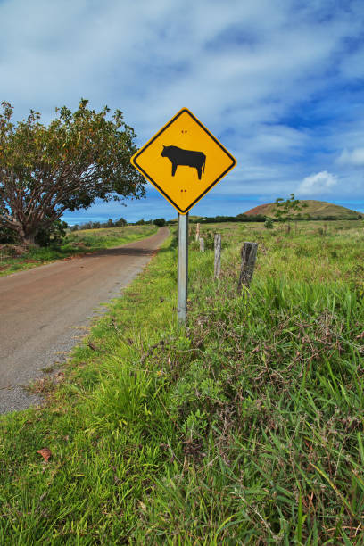 istock Rapa Nui. The road on Easter Island, Chile 1770500536