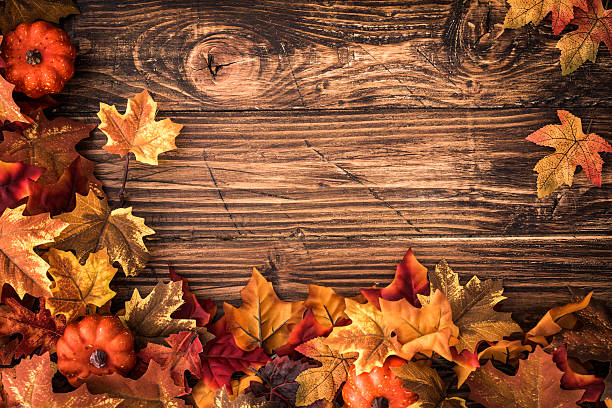 istock Autumn Decoration Background with Leafs 177050256