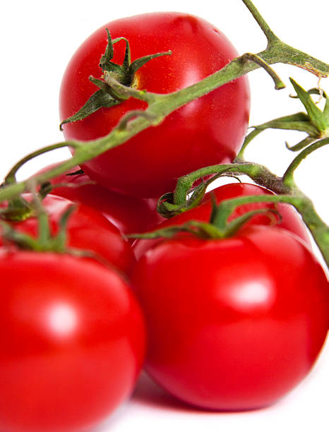 Fresh Red Tomatoes stock photo