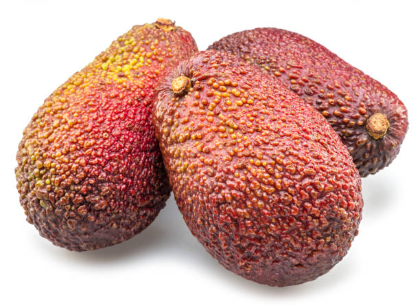Avocado close-up background