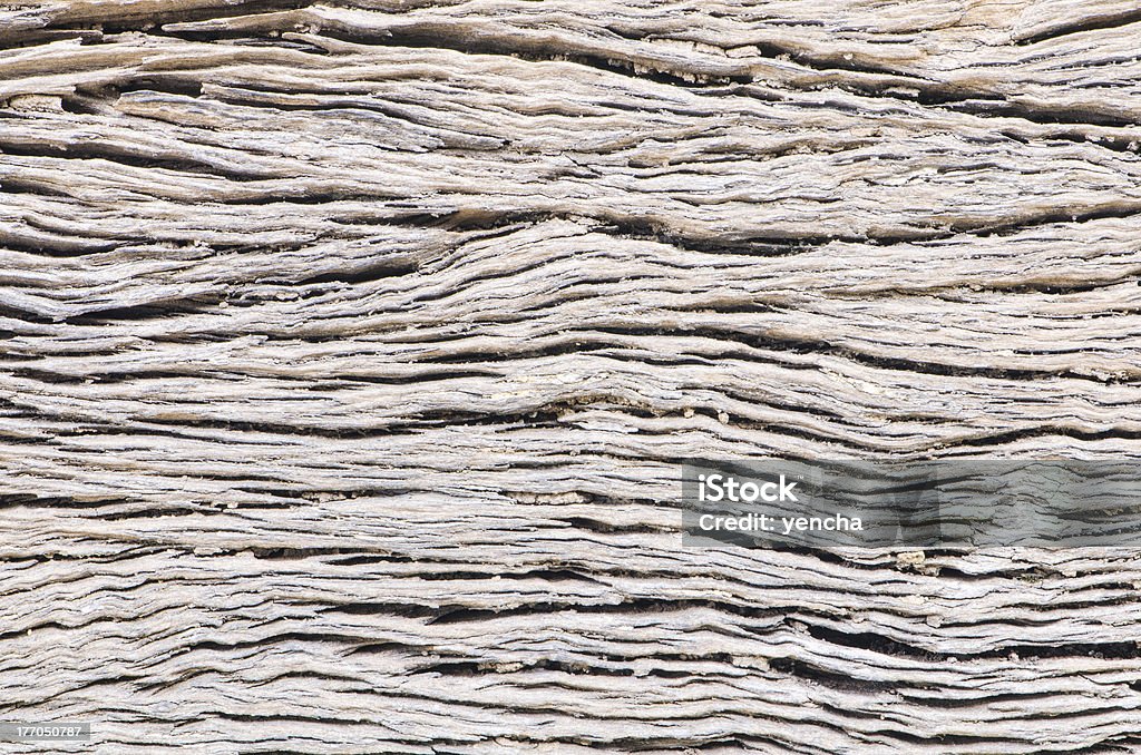 trama in legno - Foto stock royalty-free di Ambientazione esterna