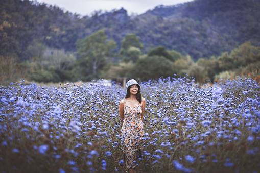 Winter travel relax vacation concept, Young happy traveler asian woman with dress sightseeing on blue flower field in garden at Khao Yai, Thailand