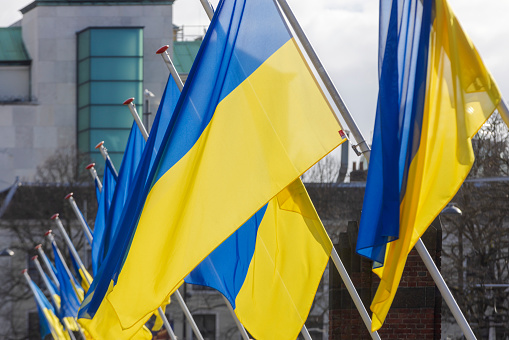 Ukrainian flags at the Hofvijver in The Hague as a show of support for the people of Ukraine in the war against Russia; The Hague, Netherlands