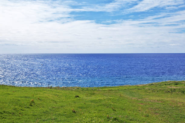 istock Rapa Nui. The view of Pacific ocean on Easter Island, Chile 1770518385