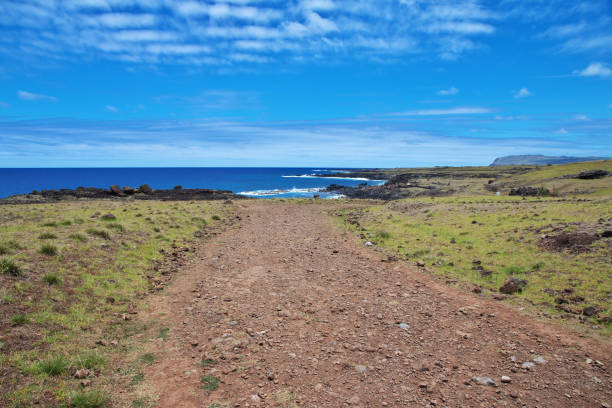istock Rapa Nui. Ahu Akahanga park on Easter Island, Chile 1770518936