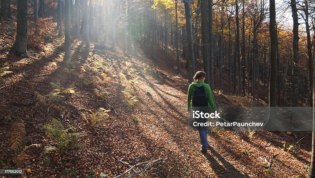 Spaziergang im Wald - Lizenzfrei Abenteuer Stock-Foto