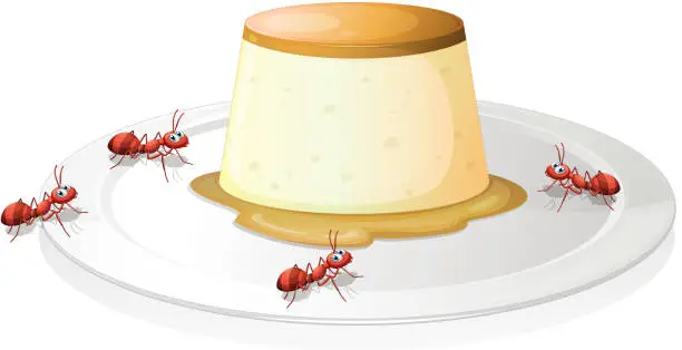 Vector illustration of Leche flan in a plate with four ants