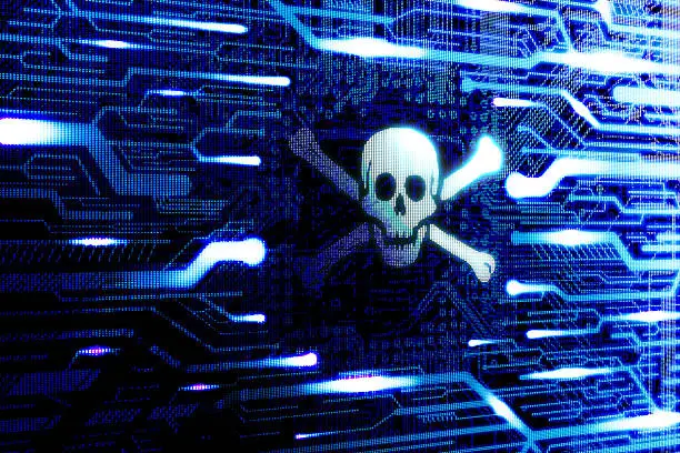 Photo of Pirate internet software