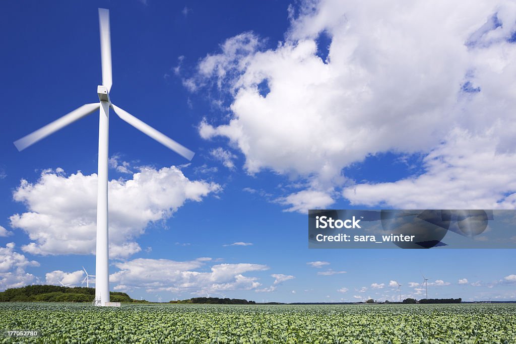 Turbina de viento en un campo con Bruselas sprouts - Foto de stock de Aerogenerador libre de derechos