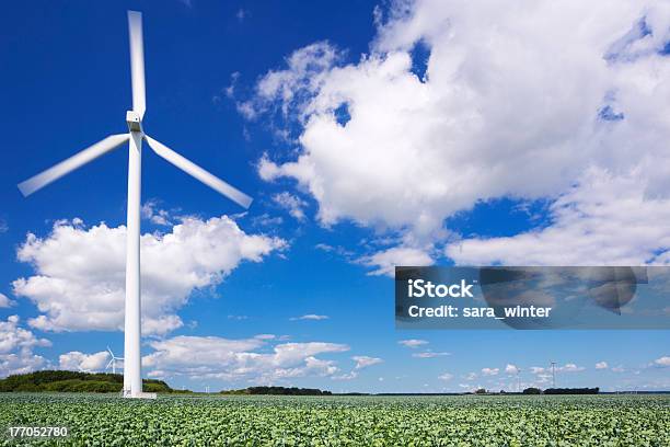 Turbina Eólica Em Um Campo Com Couvesdebruxelas - Fotografias de stock e mais imagens de Turbina Eólica - Turbina Eólica, Agricultura, Ao Ar Livre