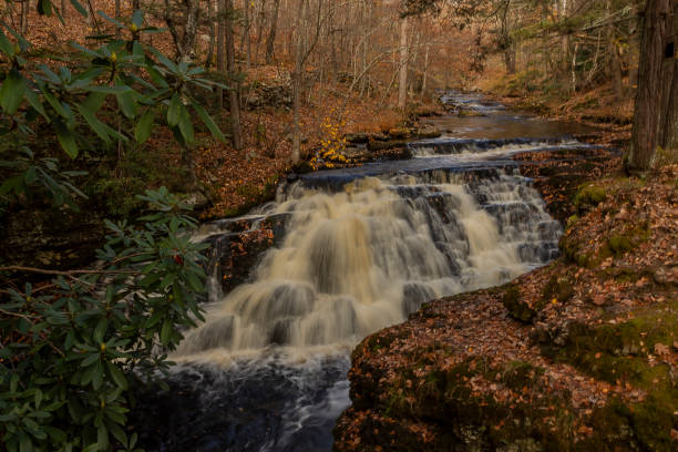 istock Small waterfalls cascade over rocks in the Little Bushkill Creek 1770527973