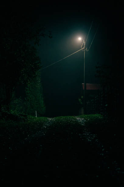 istock Night landscape mesmerizing nature photo 1770547376