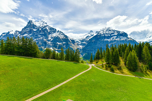 Beautiful landscape alpine view in summer mountains around Grindelwald, Switzerland