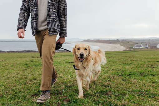 A low angle view of an unrecognisable man walking his dog on a grassy area in Newton by the Sea in the North East of England. He is enjoying a staycation with his partner and enjoying the sea air.