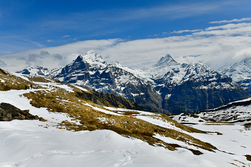 Beautiful view of Eiger village Swiss Alps, Grindelwald, Switzerland