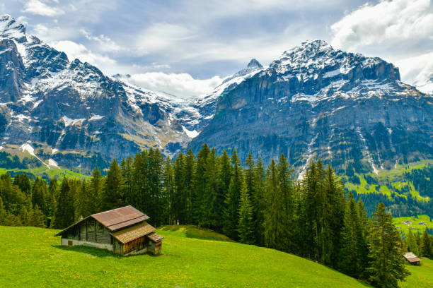Beautiful landscape alpine view in summer mountains around Grindelwald, Switzerland