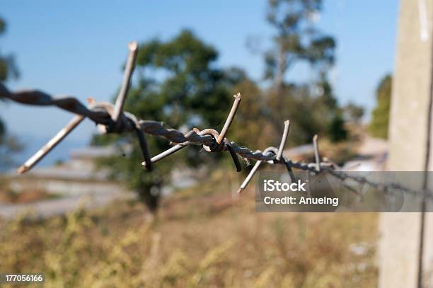 Barb Wire Stockfoto und mehr Bilder von Abfackelschornstein - Abfackelschornstein, Dornig, Dünn