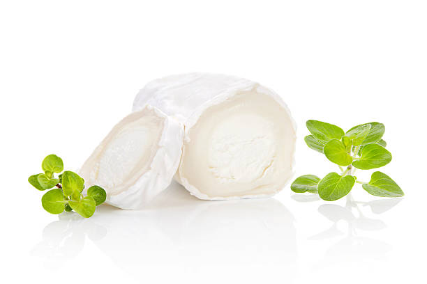Goat cheese with herbs. stock photo