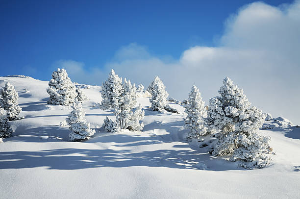 winter-landschaft - alpin stock-fotos und bilder