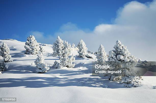 Winter Landscape Stock Photo - Download Image Now - Jura - France, Winter, Ski