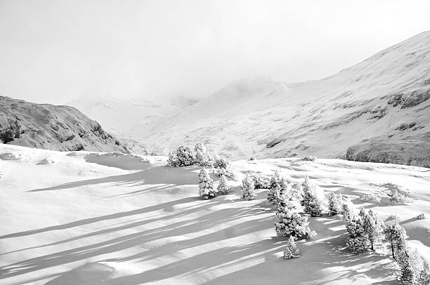 Winter landcape Trees in the snow jura stock pictures, royalty-free photos & images