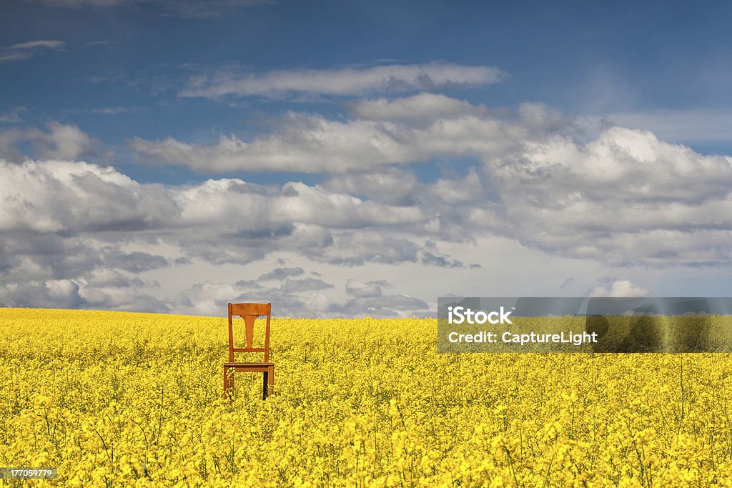 Solitude chaise sur les viols champ vide - Photo de Abstrait libre de droits