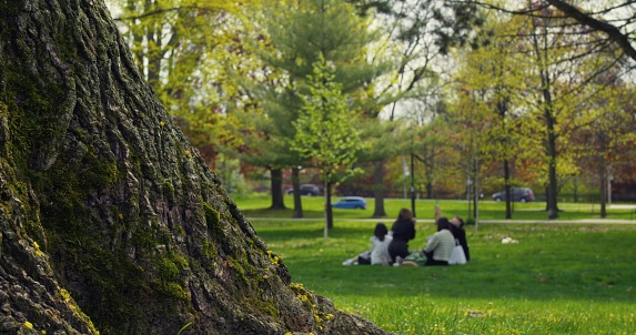 Unrecognizable people enjoying picnic, relaxing outdoors. People in park share laughter, food under shade. Sunlit day, people in park find solace in nature, cherishing moments together.