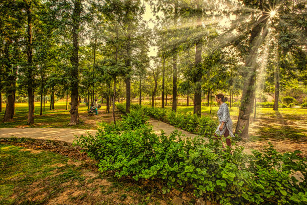 In the morning time a woman walking in a park alone in New Delhi