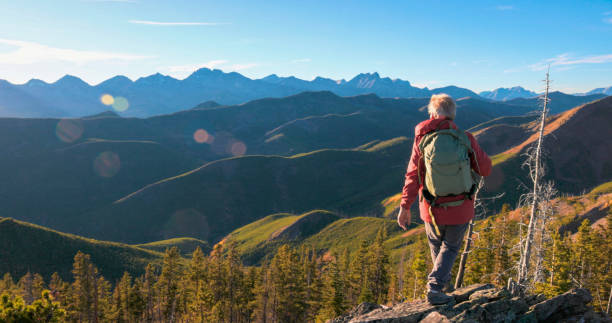 istock Mature hiker explores mountain ridge 1770616713