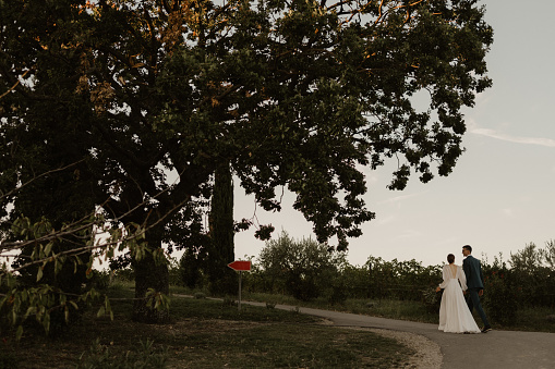 The bridal couple walk under a large olive tree in the countryside