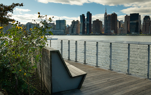 Manhattan skyline viewed from Long Island City featuring bench and sunflower on the foreground