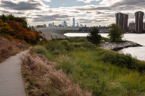 istock Manhattan skyline viewed from Long Island City 1770626140