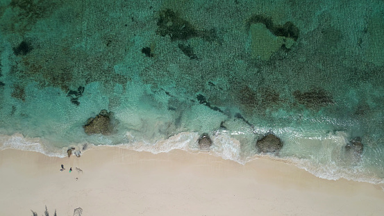 View directly overhead of coral and shallow sea
