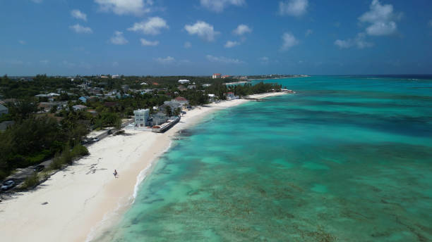 istock Aerial view of woman on empty beach 1770628030