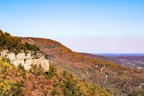 istock Foliage on Signal mountain 1770639614